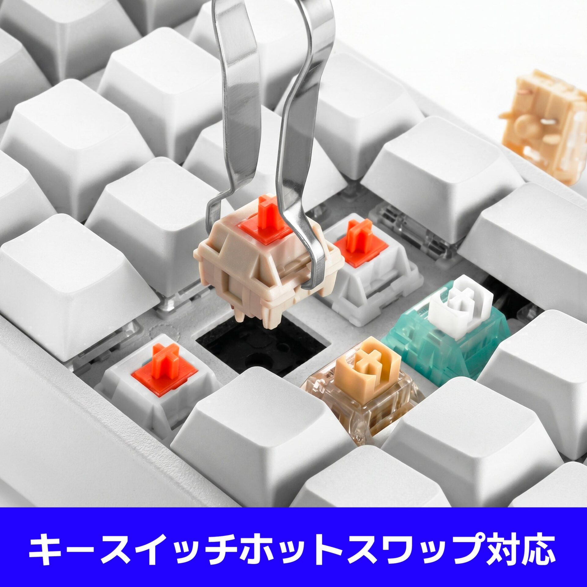 LEOPOLD、VIA対応のハイエンドテンキー「FC220TP PD」を発売 - 画像8