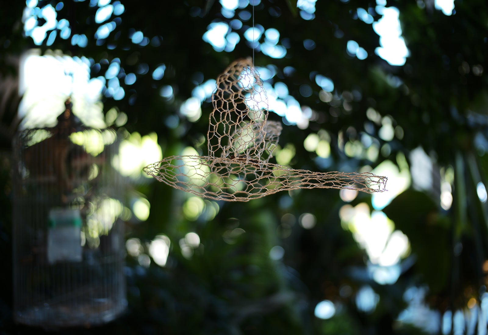 焦点工房、伝説的レンズを再現した「M 35mm f/1.4 A.A.」を発売 - 画像21