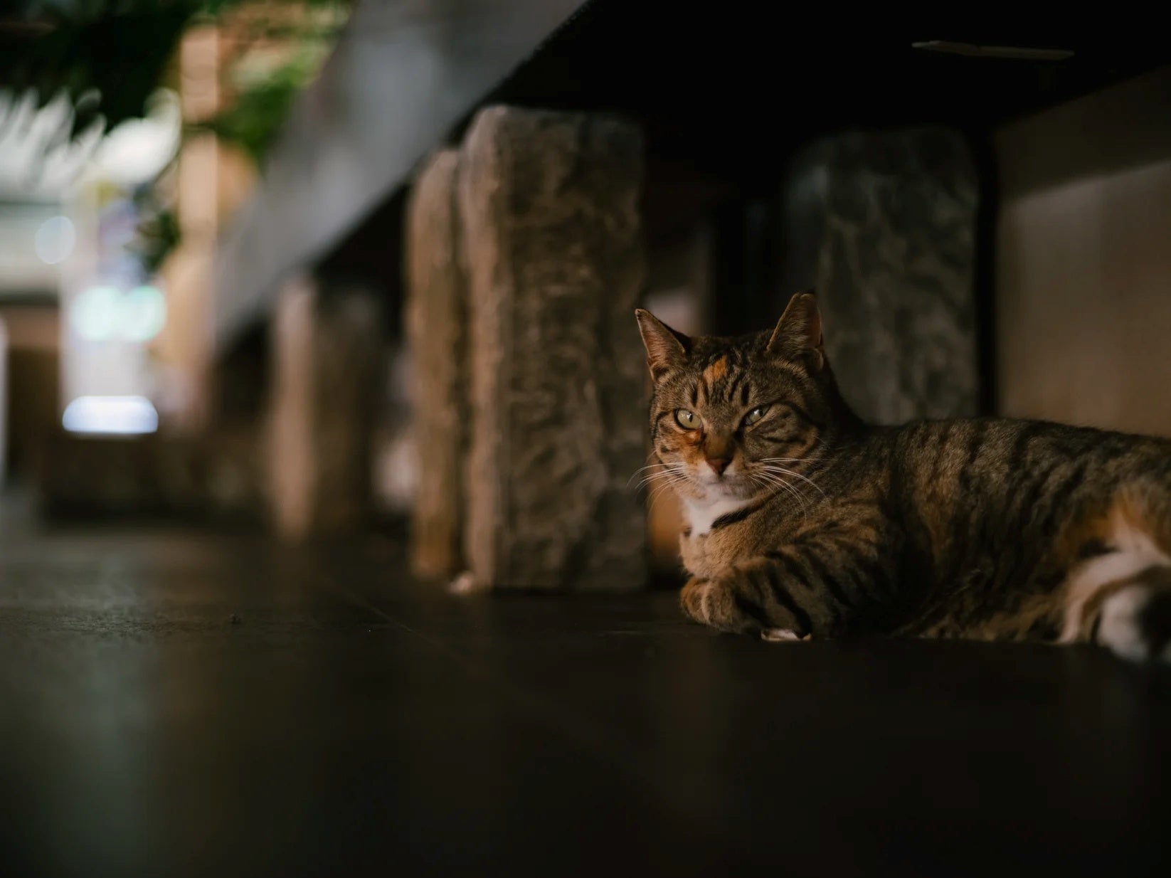 焦点工房、クラシックシネレンズ風Mマウントレンズ「M 75mm f/2 SPII ブラック」発売 - 画像11