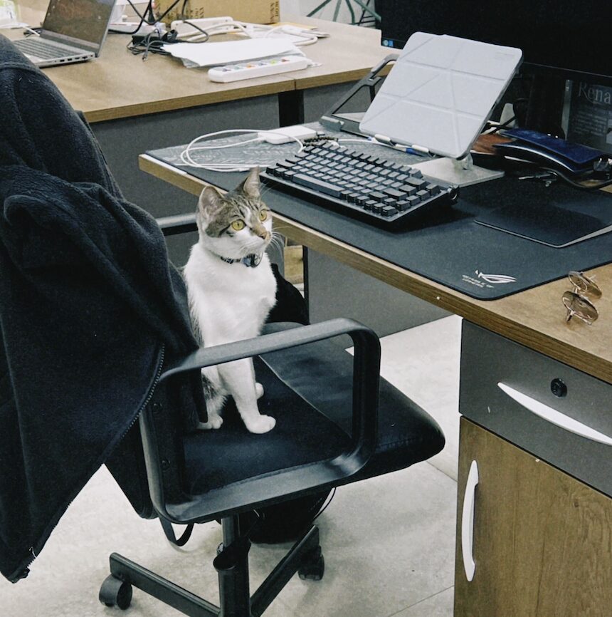 Maktar、アニマルフェア売上の一部をどうぶつ基金へ寄付 - 画像4