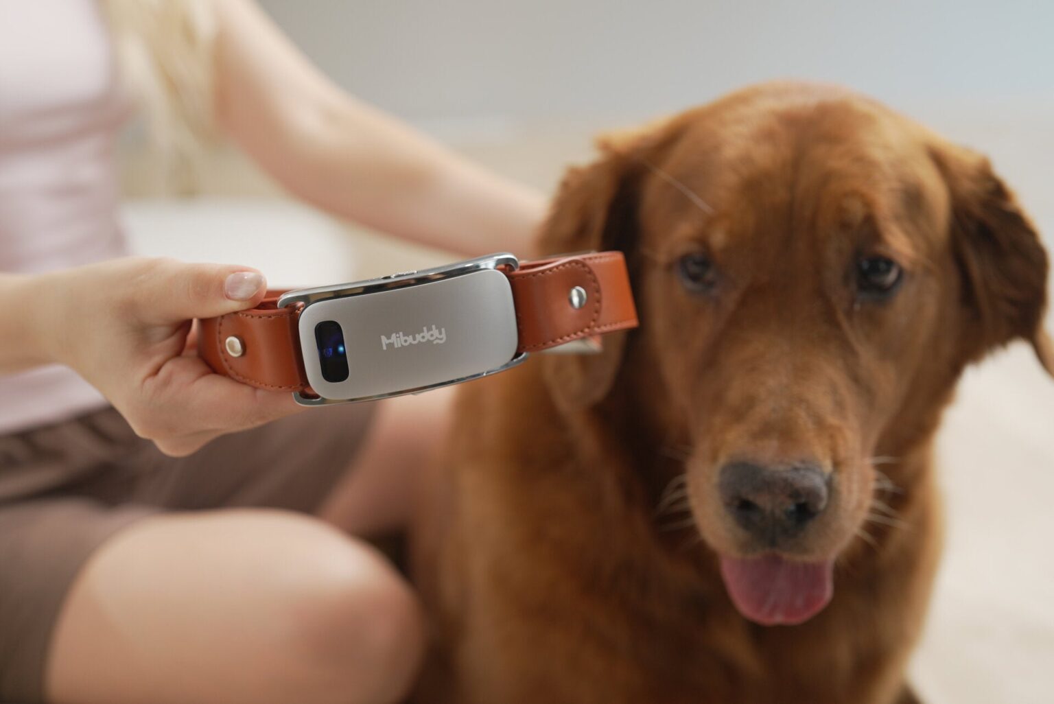 AIで犬の鳴き声を翻訳するスマート首輪「Mibuddy」が日本上陸