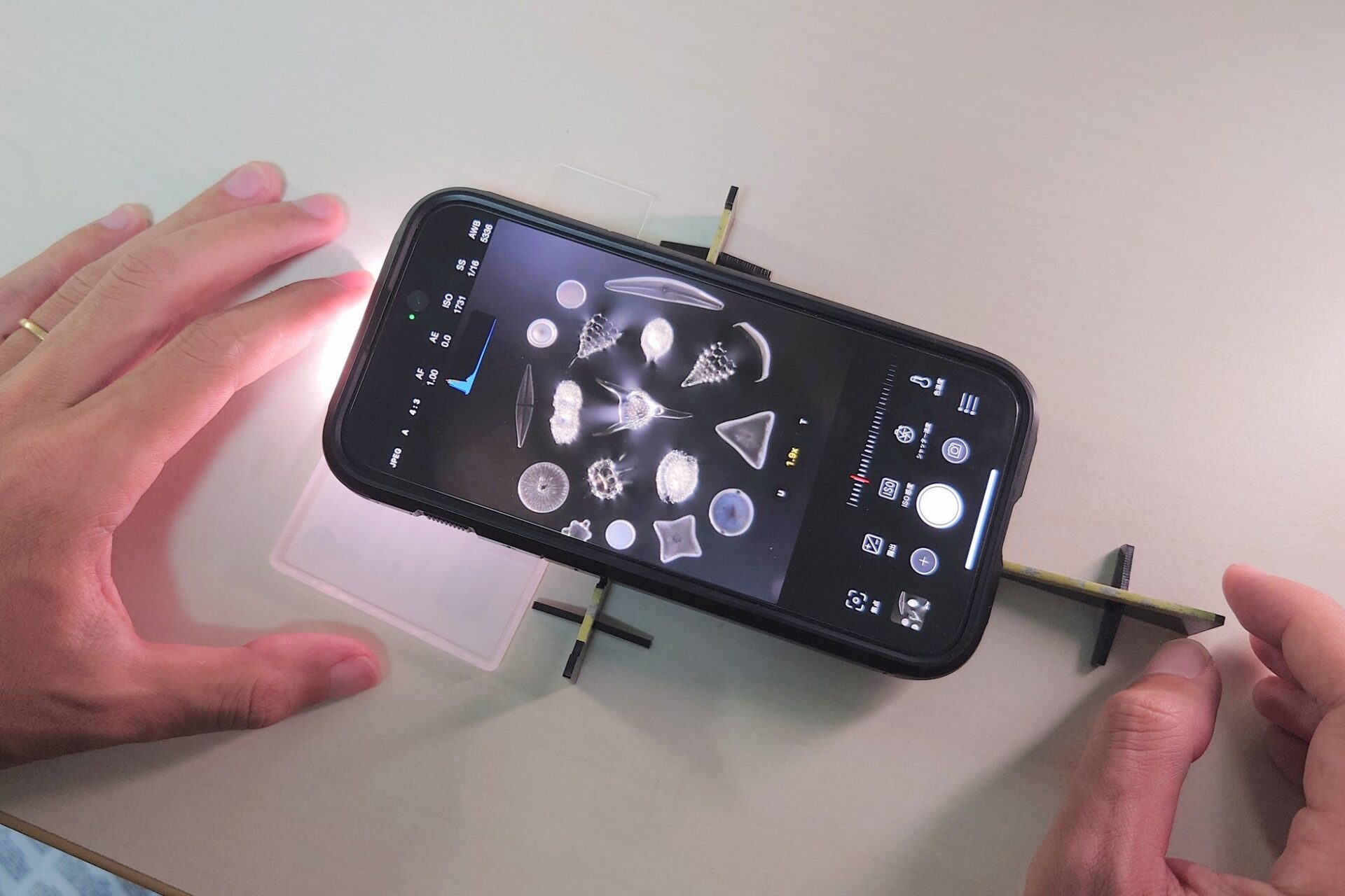 合同会社KaraSeed、スマホ用偏光顕微鏡レンズ「ミクロハンターキットX250P」を発売 - 画像4
