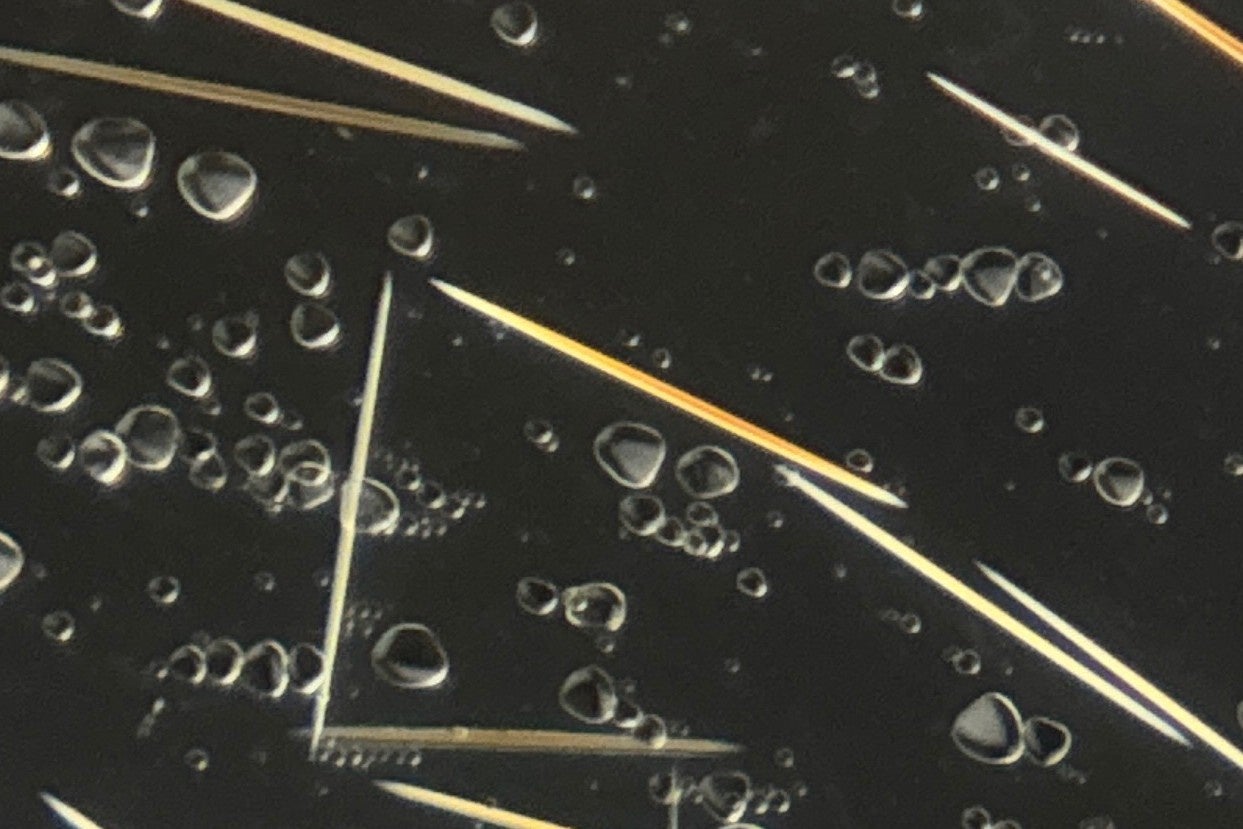 スマホ顕微鏡「ミクロハンターキットX250P」、第2回クラウドファンディングを開始 - 画像6