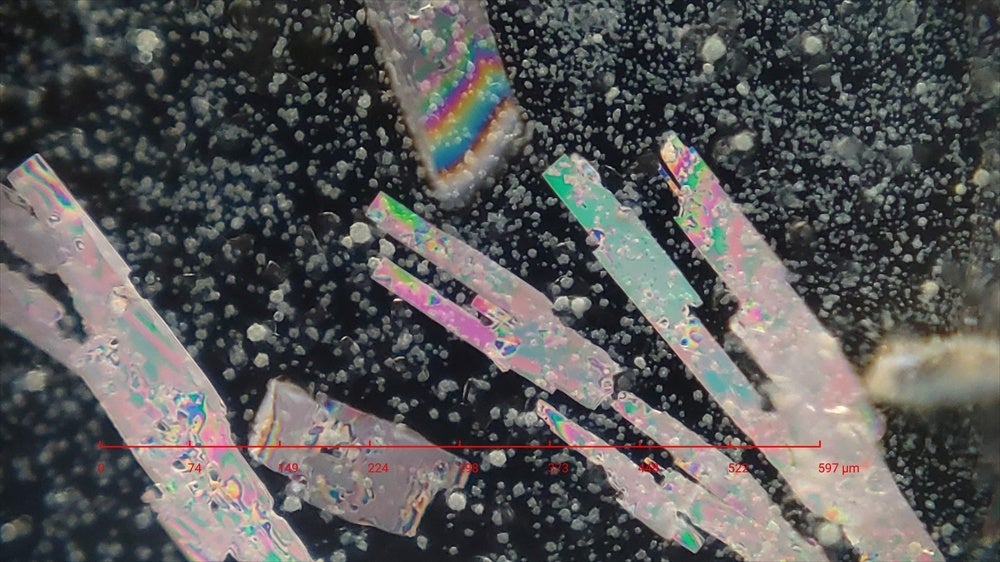 スマホ顕微鏡「ミクロハンターキットX250P」、第2回クラウドファンディングを開始 - 画像8