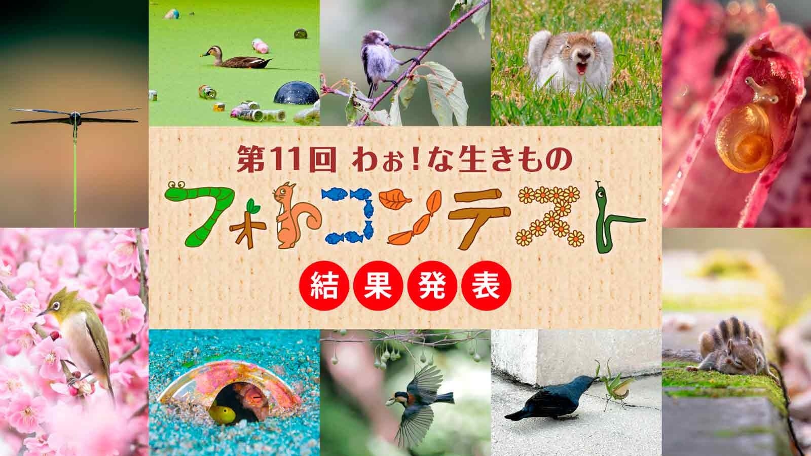 「第11回わぉ!な生きものフォトコンテスト」グランプリ発表 - 画像2