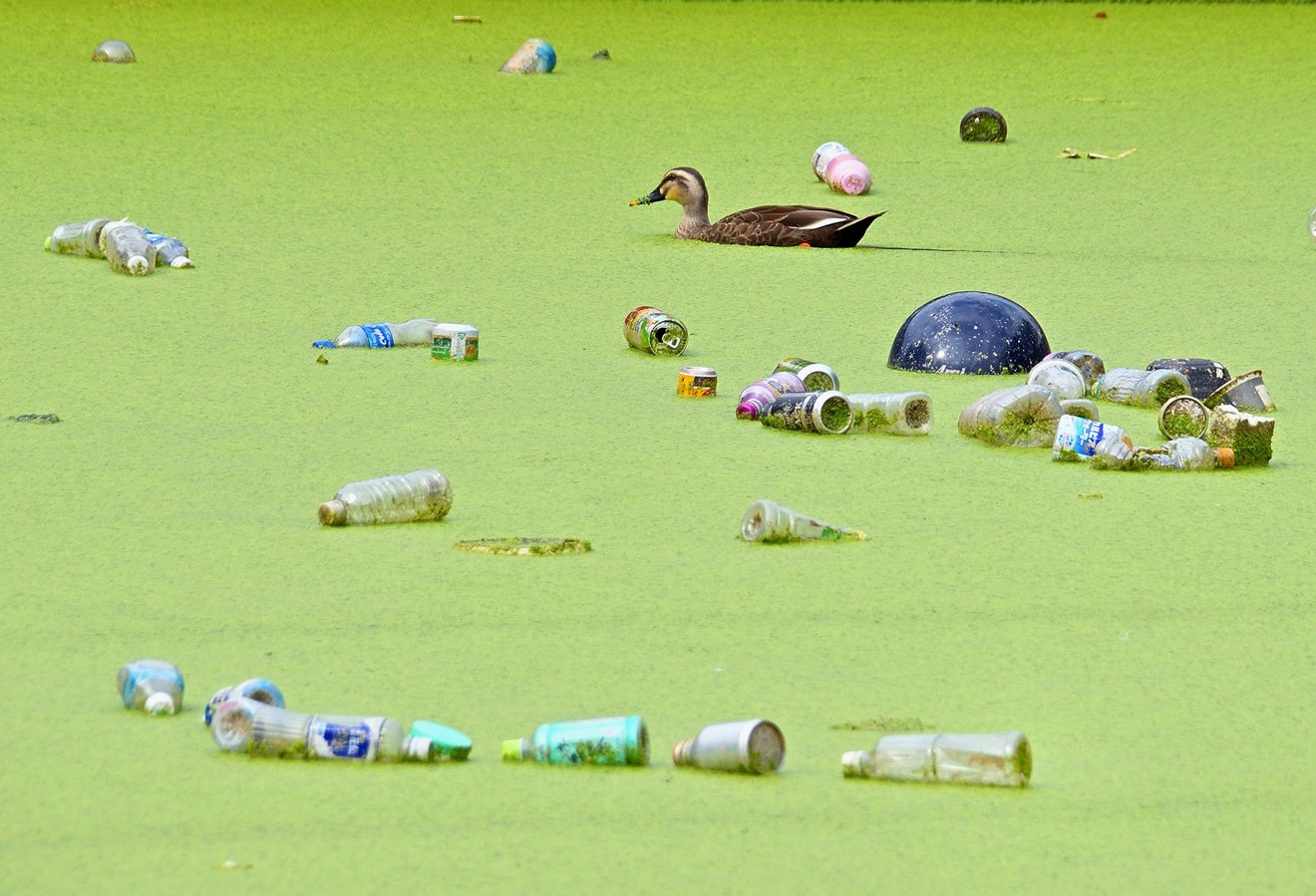 「第11回わぉ!な生きものフォトコンテスト」グランプリ発表 - 画像3