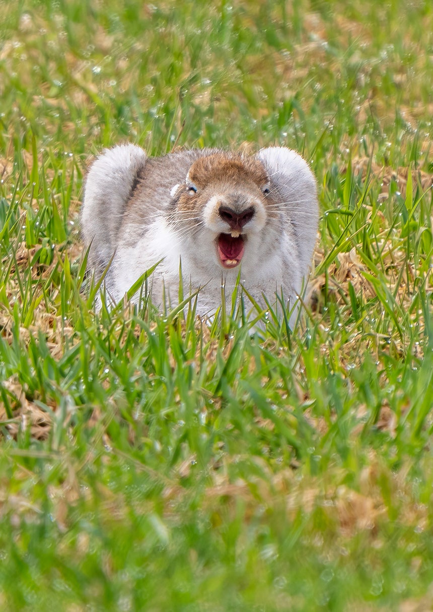 「第１１回わぉ！な生きものフォトコンテスト」グランプリ発表 - 画像8