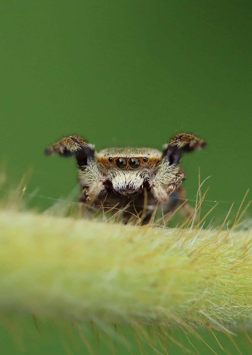 「第11回わぉ!な生きものフォトコンテスト」グランプリ発表 - 画像9