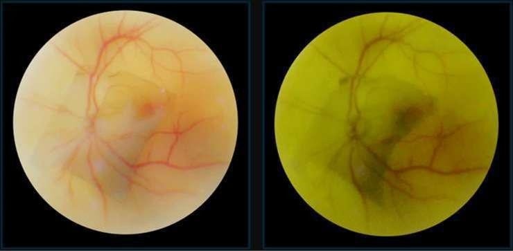 ナルックス、見え方をデザインする照明技術「SCOI」を開発 - 画像5