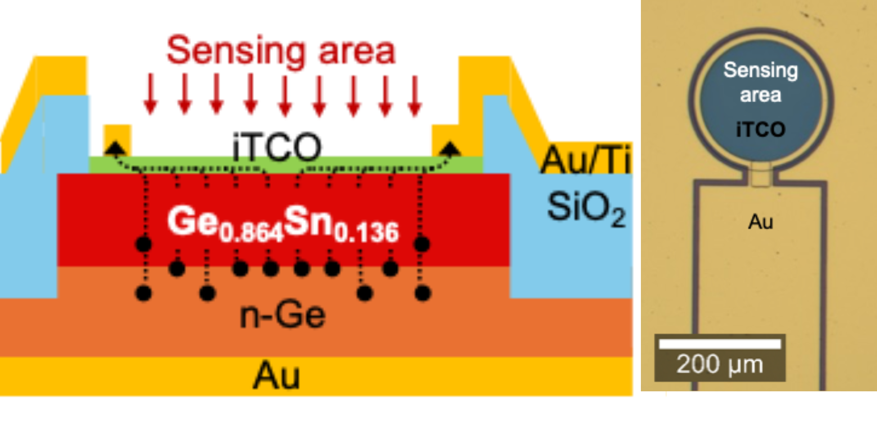 NECら、室温で3μm帯まで検出可能な赤外光センサーを開発