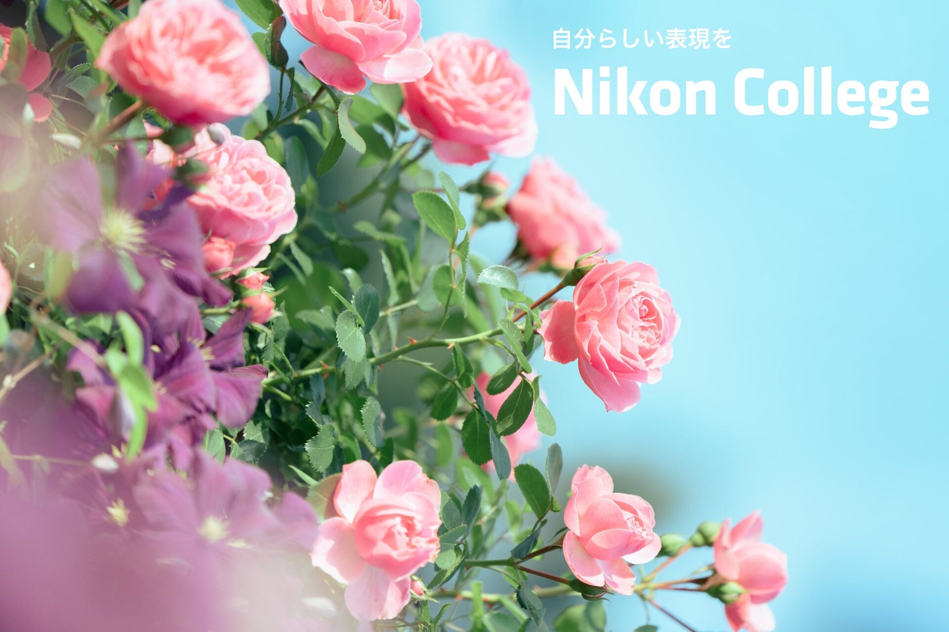 ニコンカレッジ、2026年4～6月期講座を公開 新規講師7名と季節講座で拡充 - 画像1