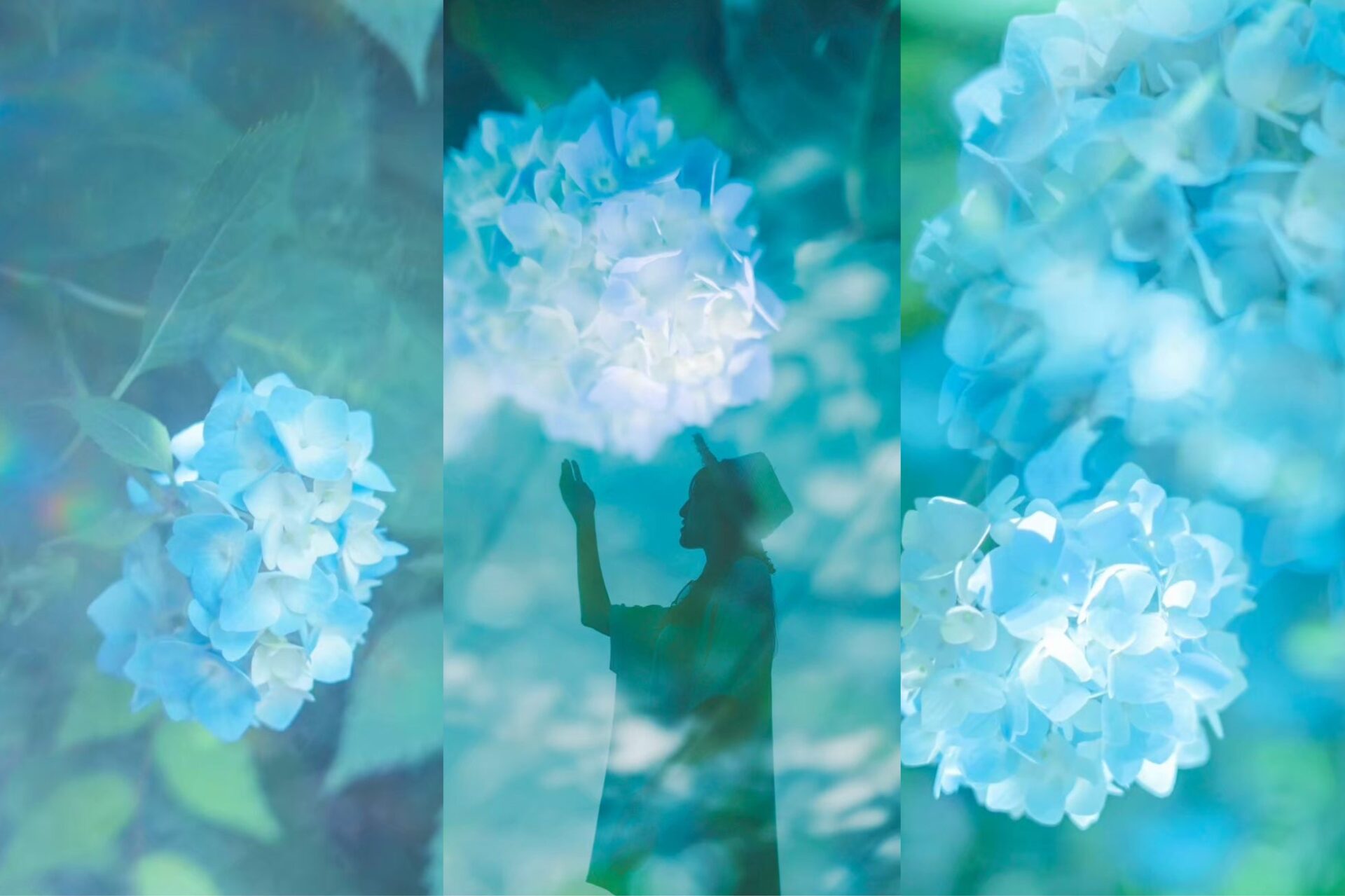 ニコンカレッジ、2026年4～6月期講座を公開 新規講師7名と季節講座で拡充 - 画像2