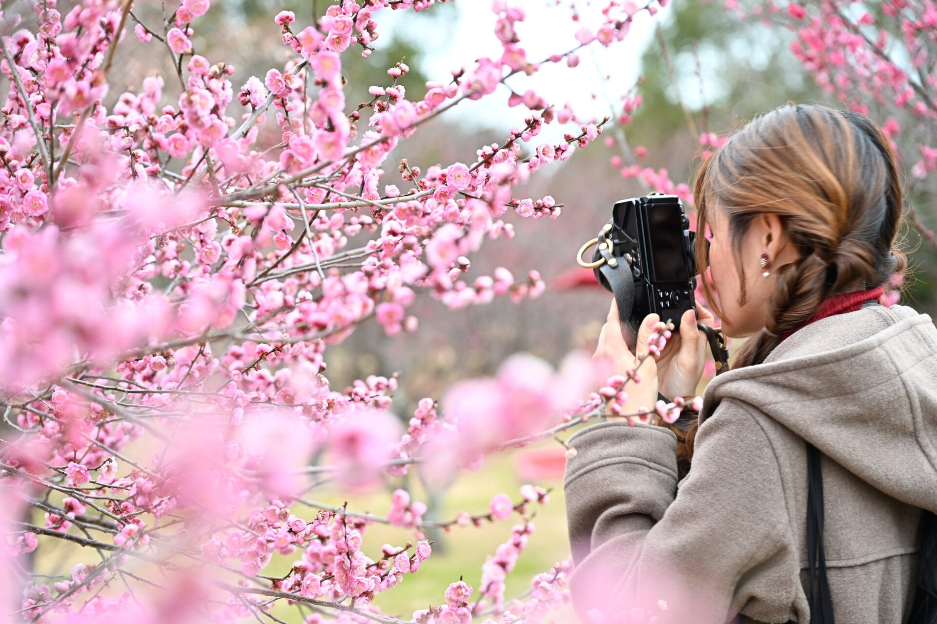 ニコンカレッジ、2026年4～6月期講座を公開 新規講師7名と季節講座で拡充 - 画像3