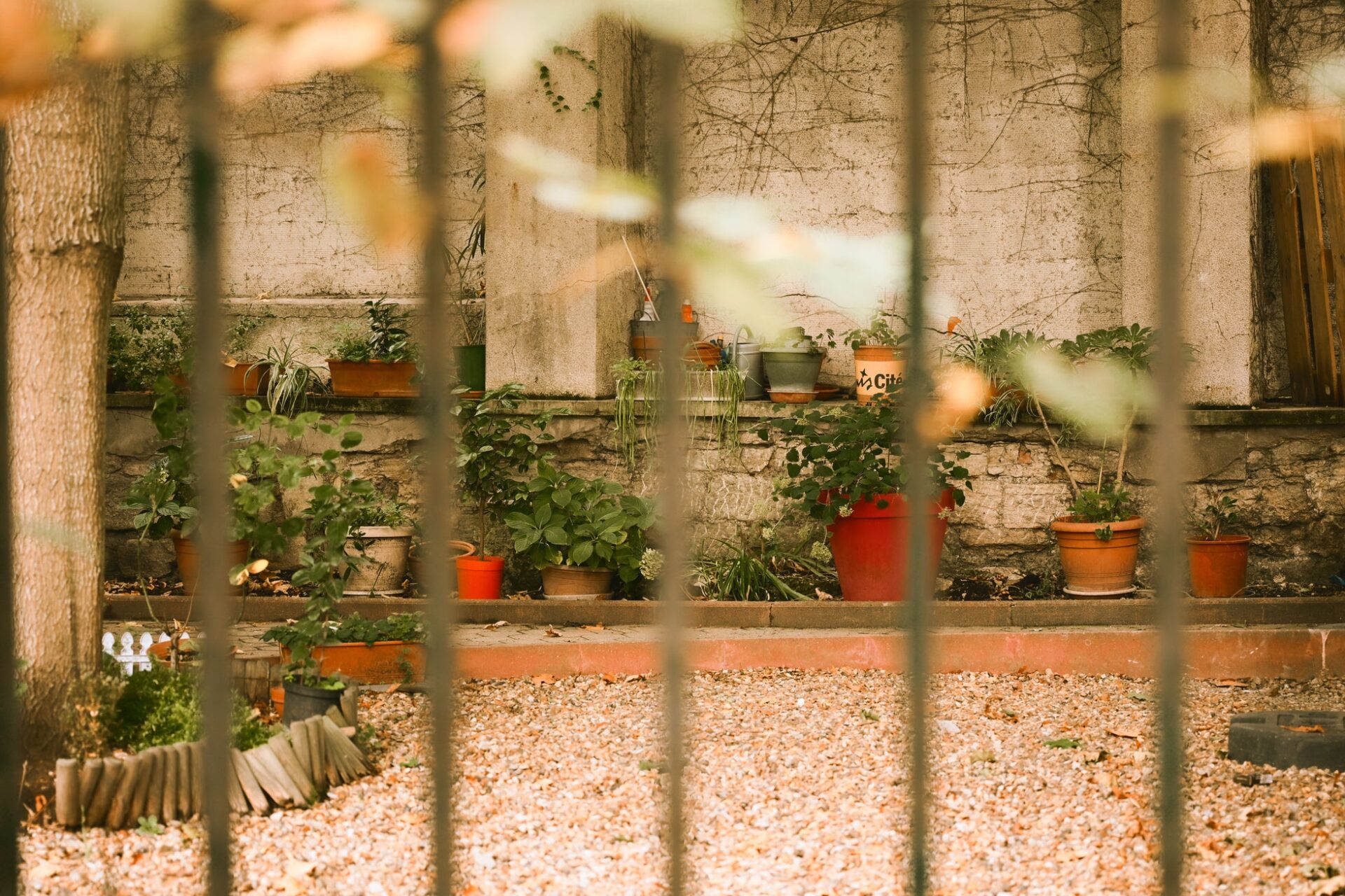 ニコンカレッジ、2026年4~6月期講座を公開 新規講師7名と季節講座で拡充 - 画像4