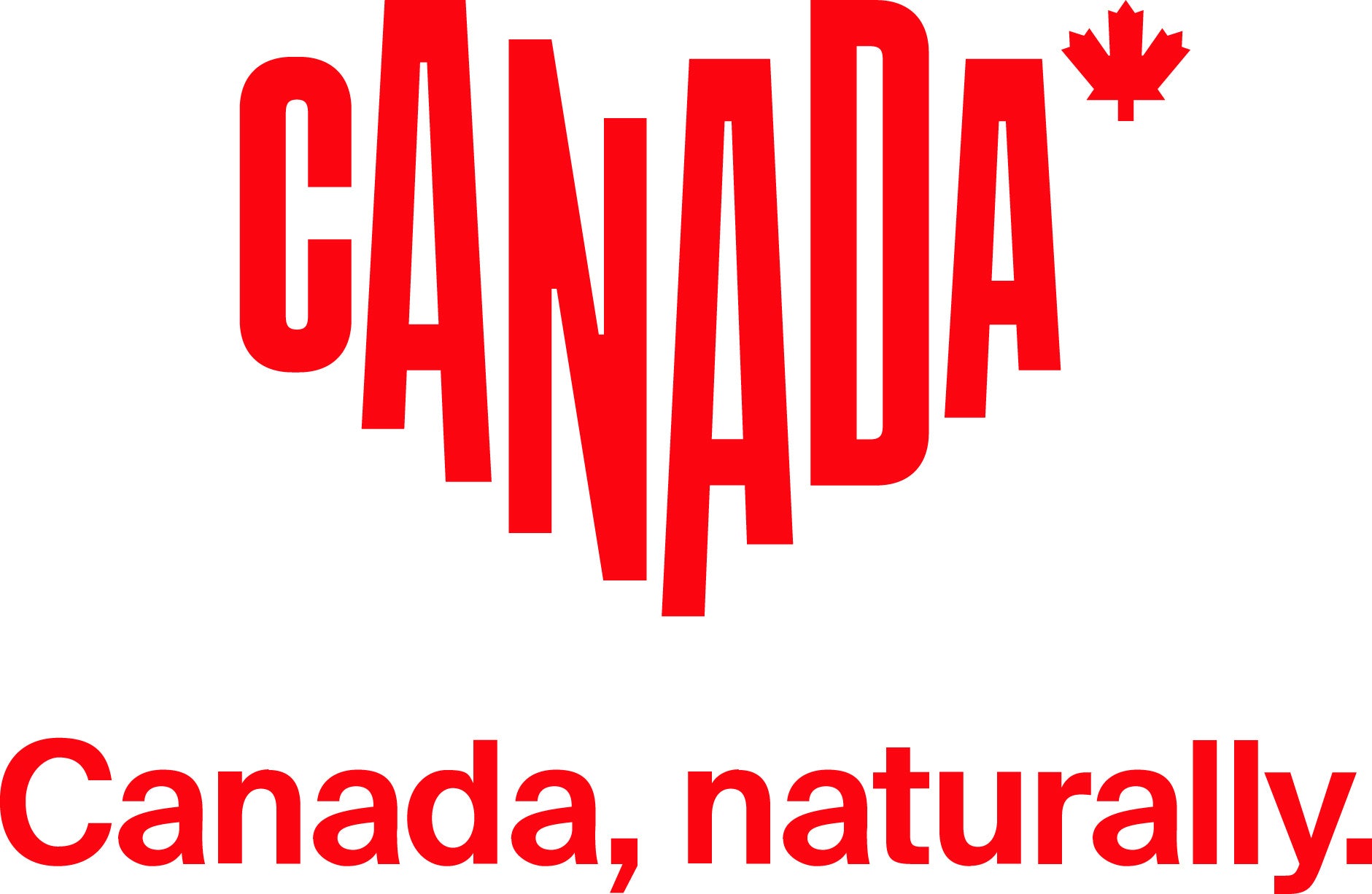 ニコン、写真家・高砂淳二氏のカナダ写真展とトークイベントを開催 - 画像3