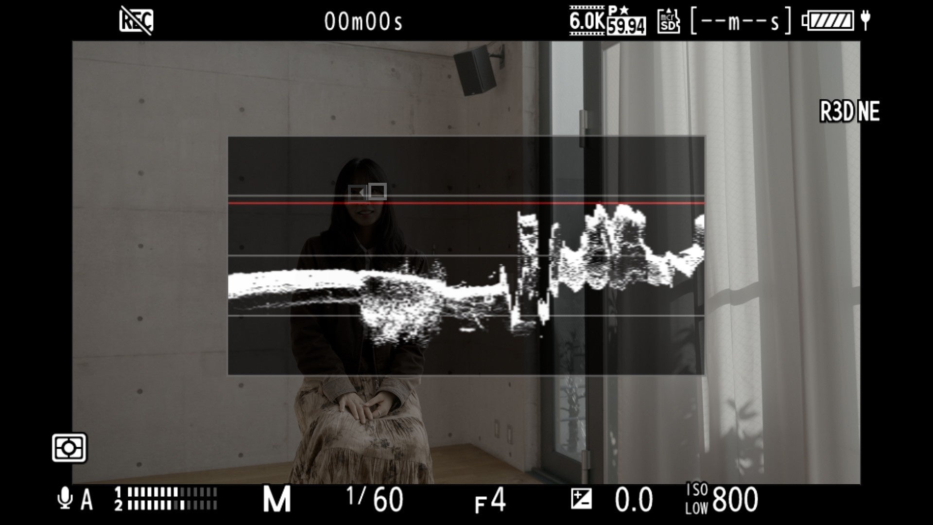 ニコンZR、ファームウェアVer.1.10が公開 - 画像3