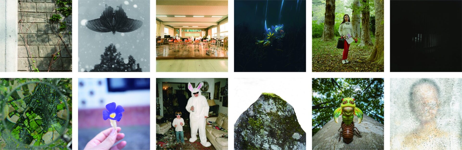 ニコンIJ、未来の写真家を発掘!「New Generation Photography 2026」開催 - 画像1