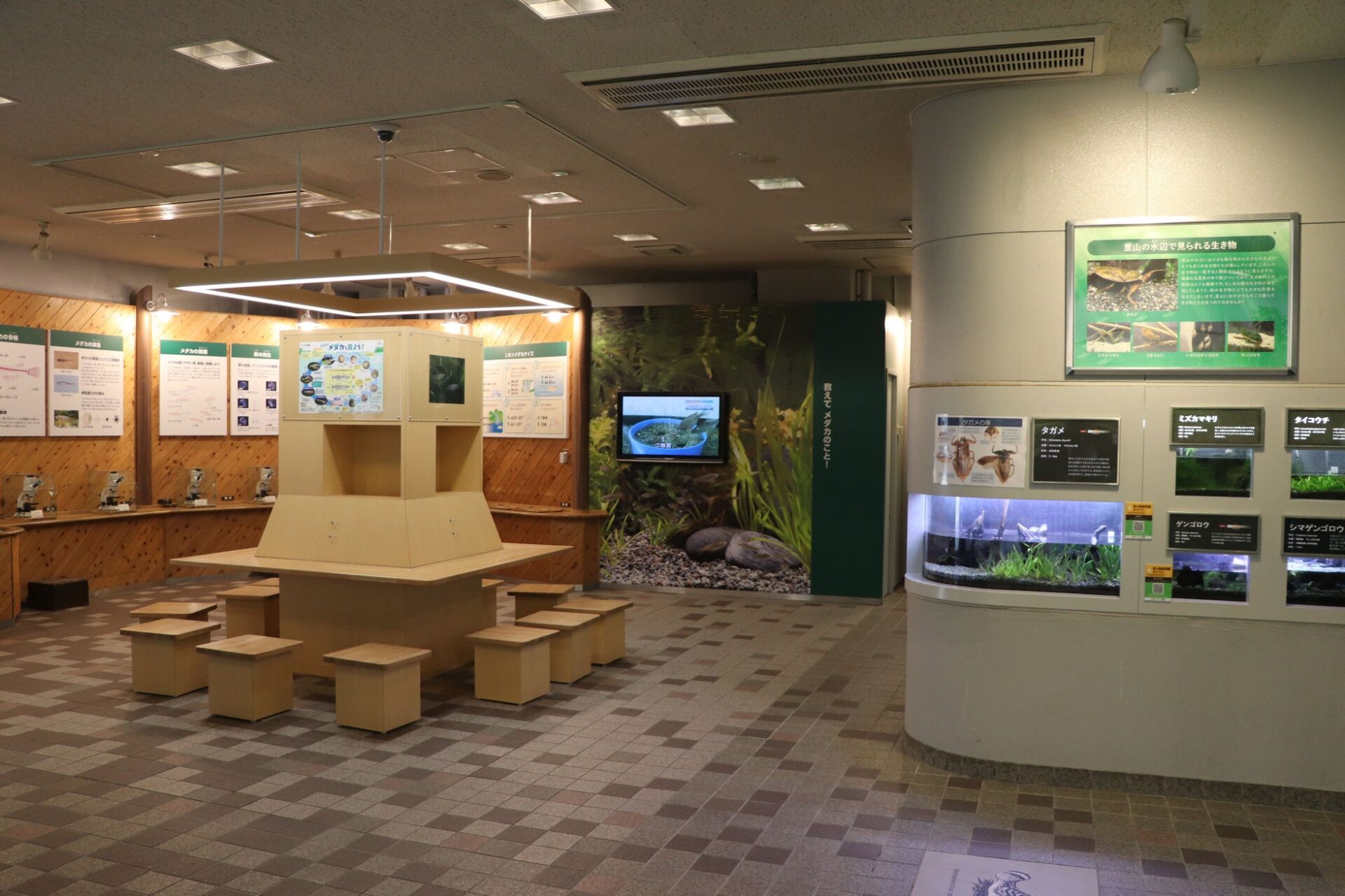 日東工業、世界のメダカ館に放電検出ユニット「スパーテクト」を寄贈 - 画像3