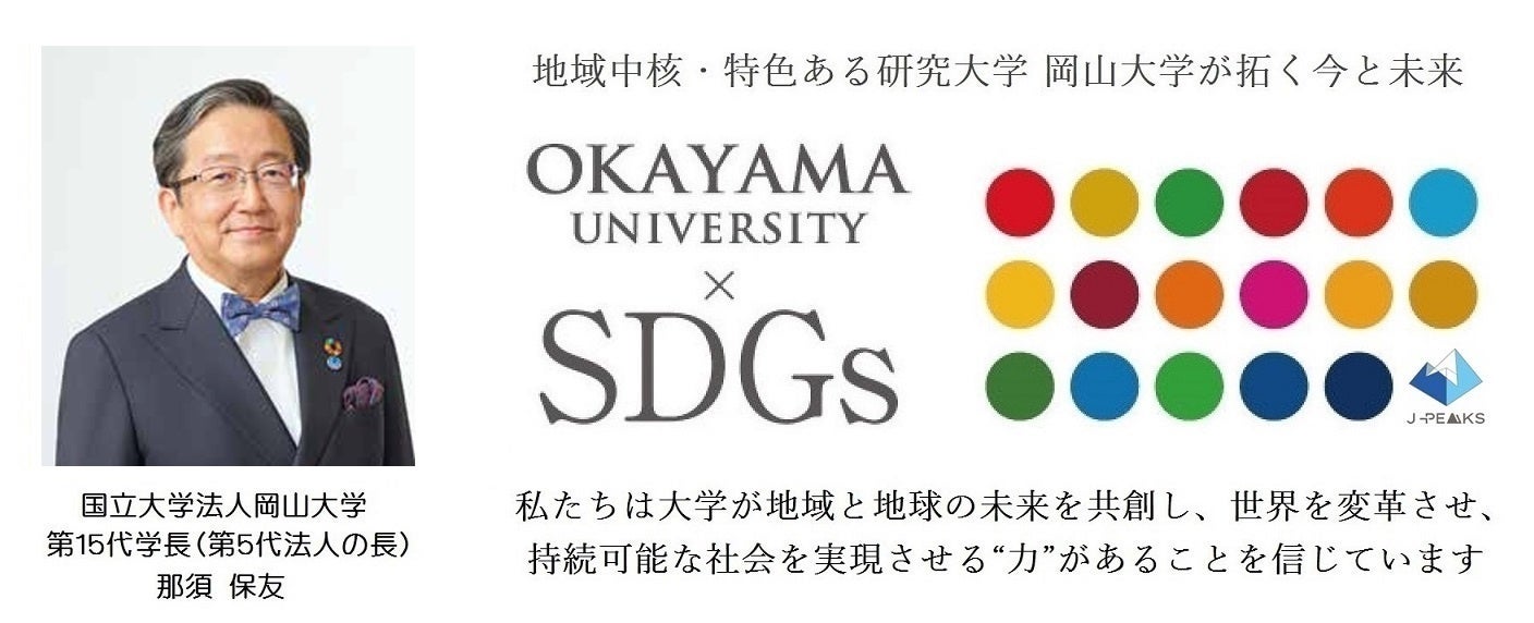 岡山大学、「超伝導」の未来を探るシナジーセッションを開催 - 画像11
