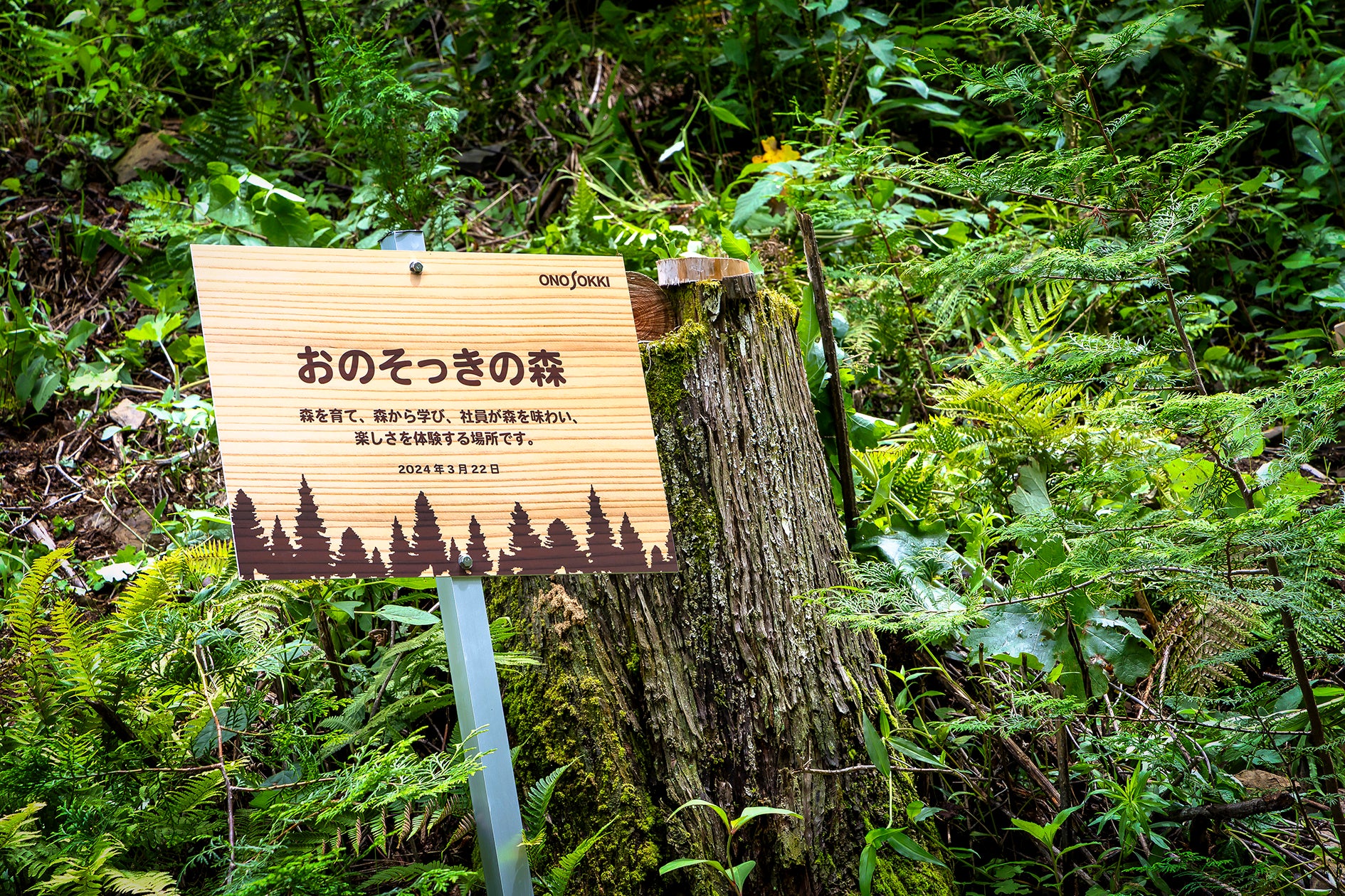 小野測器、省エネへの取り組みが評価され「電気使用合理化表彰」で最優秀賞を受賞 - 画像7