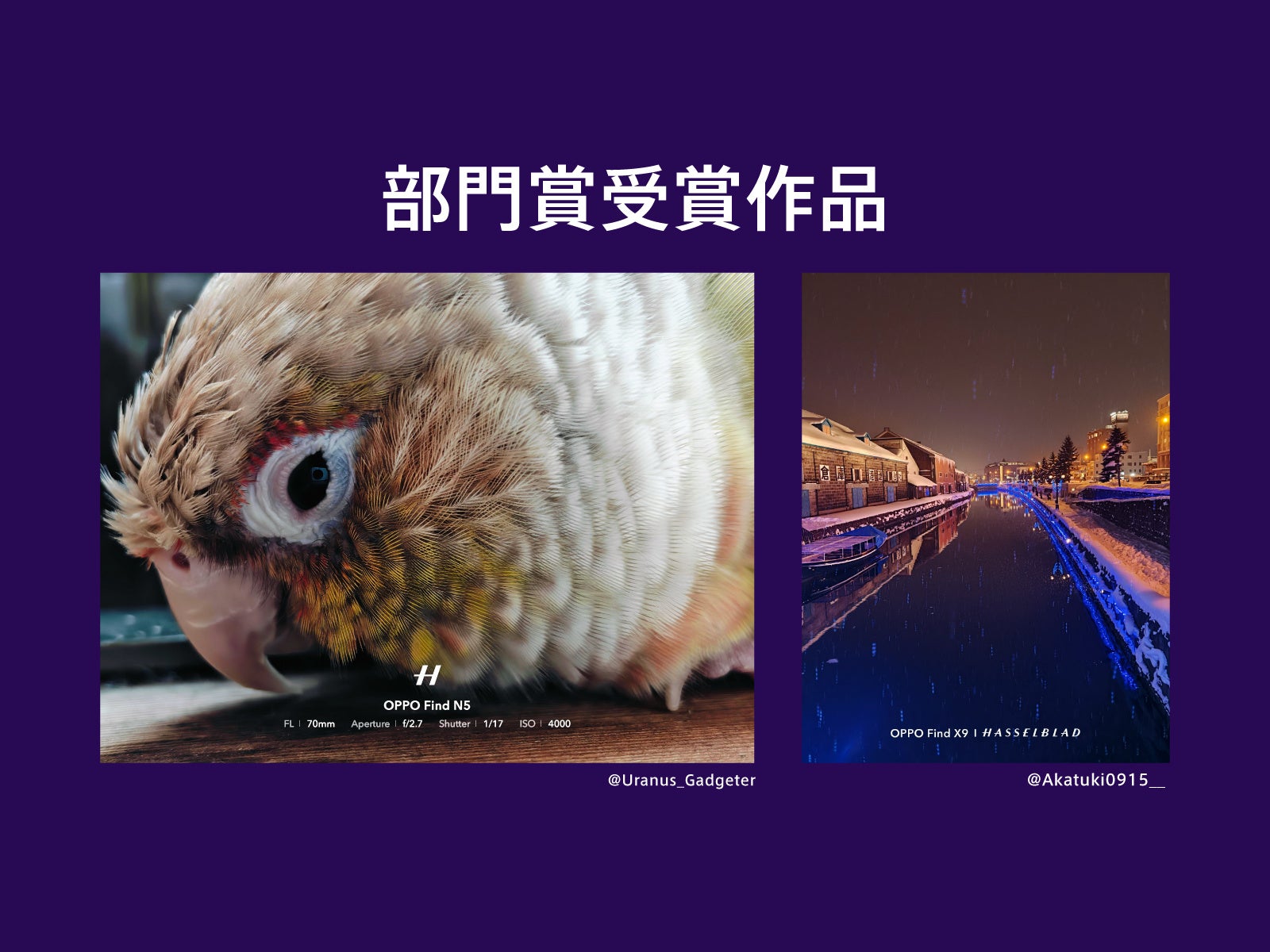 オウガ・ジャパン、カメラコンテスト「OPPO LUMO AWARDS」の受賞作品を発表 - 画像4