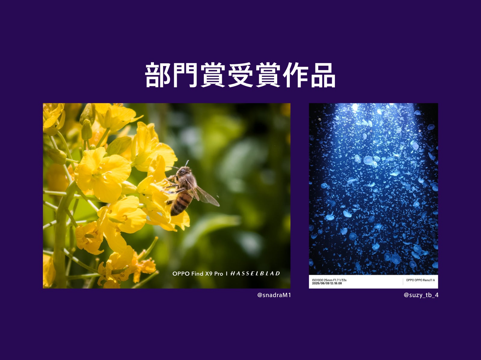 オウガ・ジャパン、カメラコンテスト「OPPO LUMO AWARDS」の受賞作品を発表 - 画像5