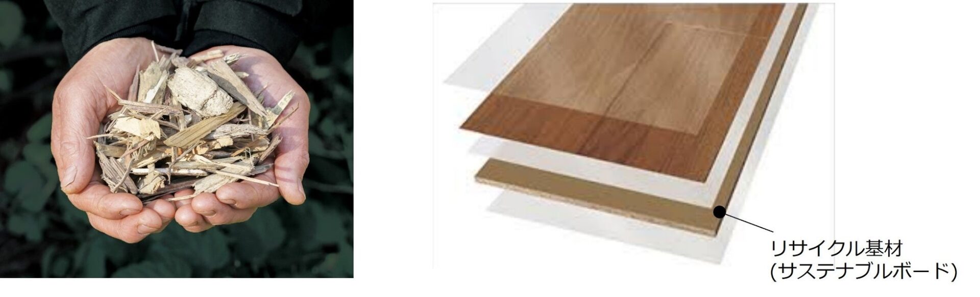 パナソニック内装建材など3社、茨城県の緑地保全活動に100万円を寄付 - 画像5