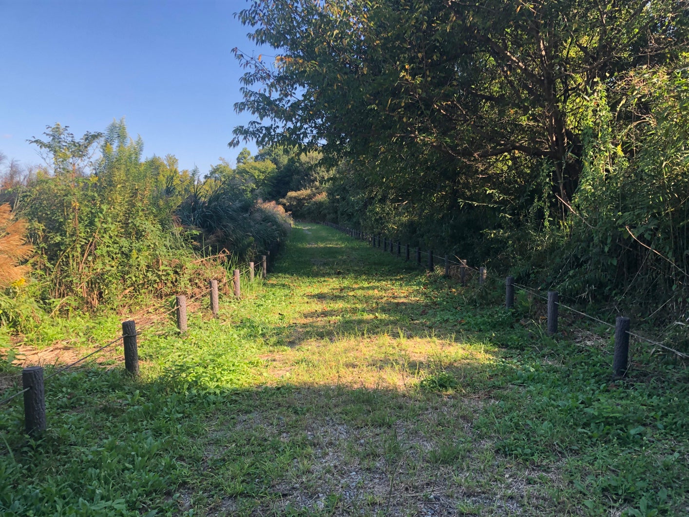 パナソニック内装建材など3社、茨城県の緑地保全活動に100万円を寄付 - 画像6