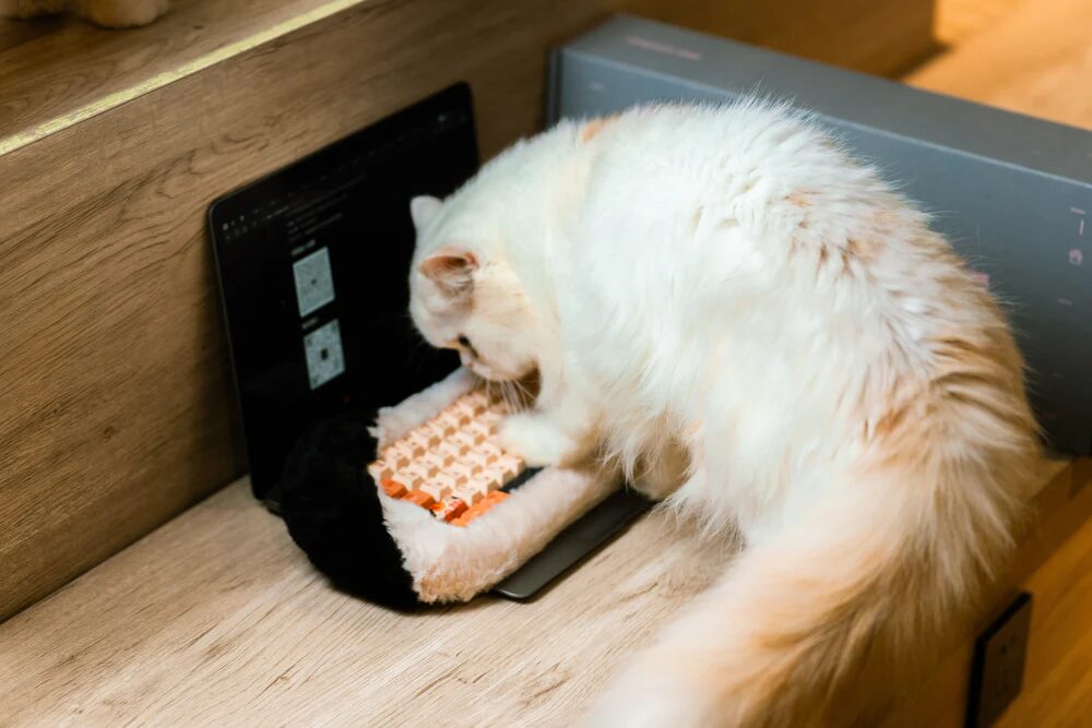 撫でたくなる？新感覚メカニカルキーボード「PETBRICK 65」先行販売開始 - 画像8