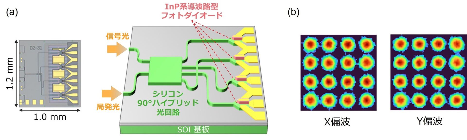 PETRA、低消費電力光DACと異種材料集積変調器・受光器を開発 - 画像3
