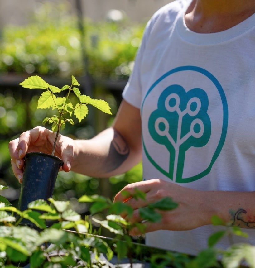 PITAKA、アースデー限定の新ケース「葉脈の息吹」を発表 - 画像12