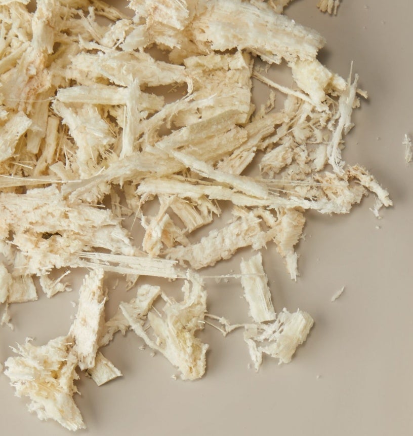 PITAKA、アースデー限定の新ケース「葉脈の息吹」を発表 - 画像2