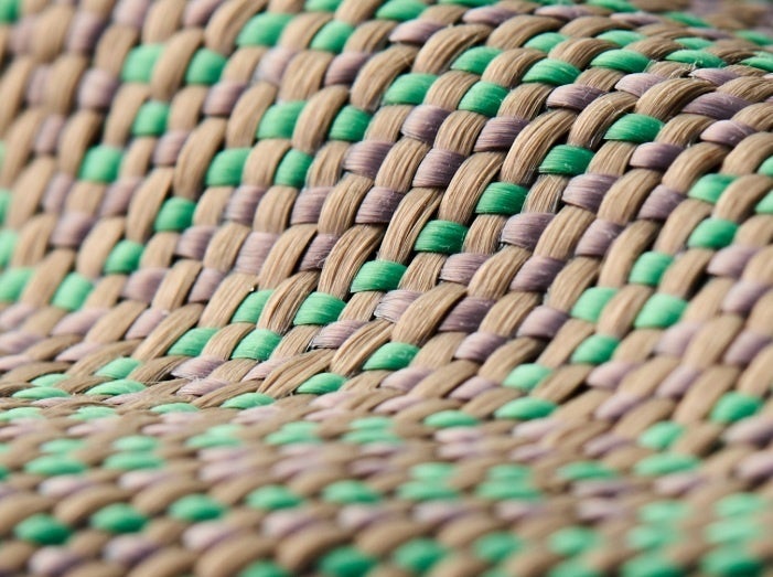 PITAKA、アースデー限定の新ケース「葉脈の息吹」を発表 - 画像5