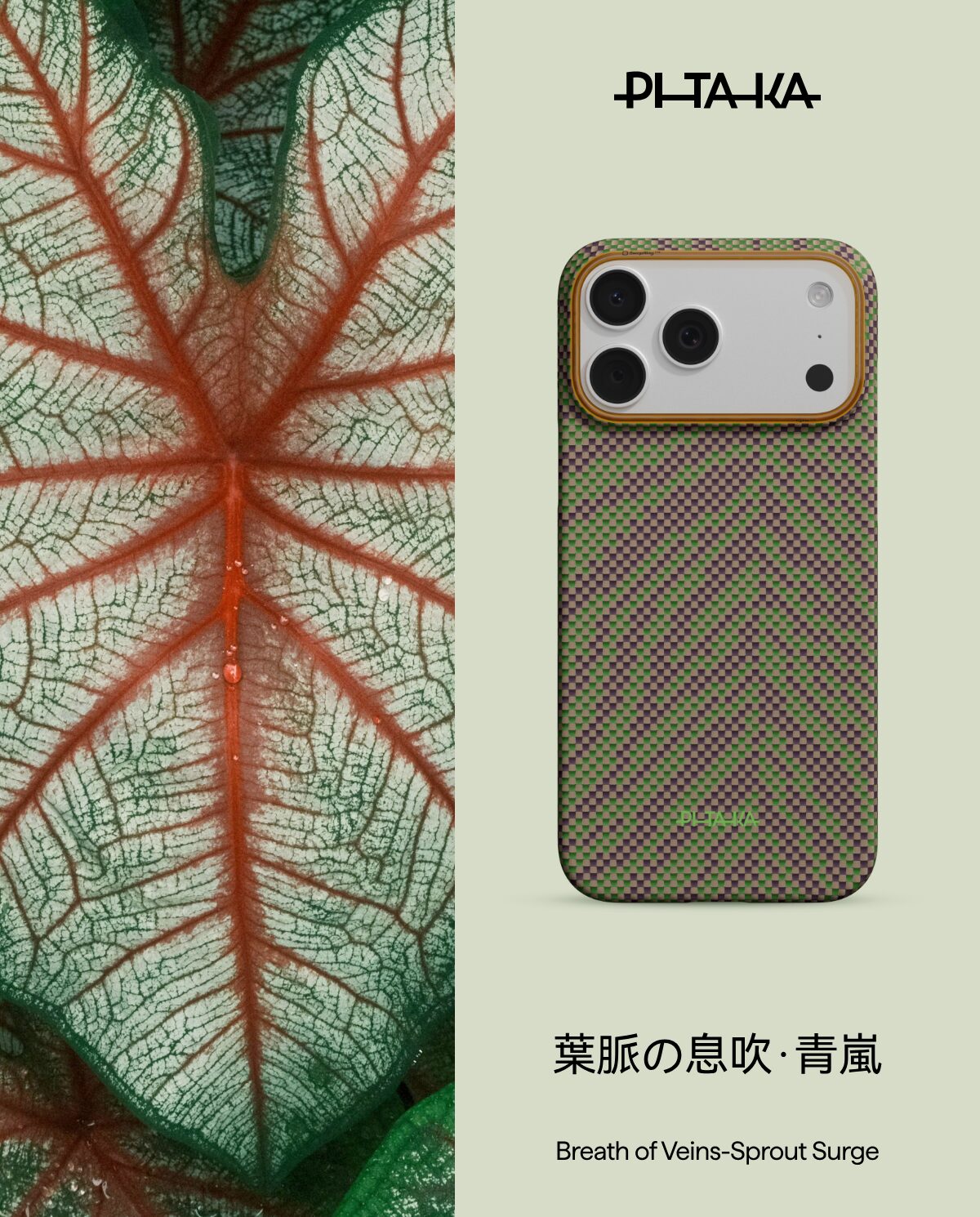 PITAKA、アースデー限定の新ケース「葉脈の息吹」を発表 - 画像6