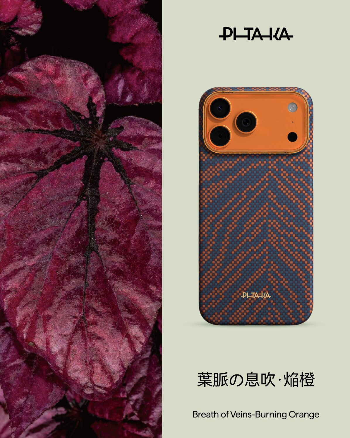 PITAKA、アースデー限定の新ケース「葉脈の息吹」を発表 - 画像8