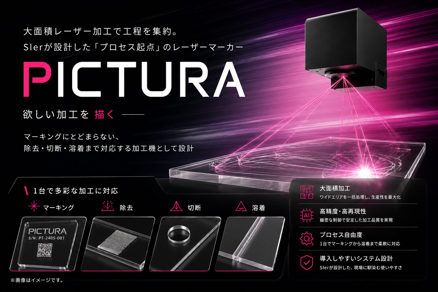 PICTURA