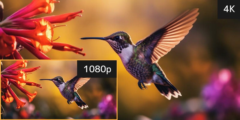 ラトックシステム、Fire TV Stick 4K Selectとの動作確認情報を公開 - 画像4