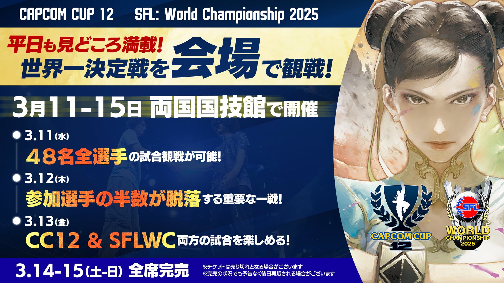 レグザ、CAPCOM CUP 12のオフィシャルモニターパートナーに就任 - 画像4