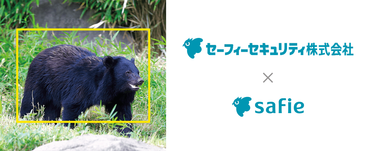 セーフィー、クマの出没を検知・目視確認する新サービスを今夏提供開始 - 画像1