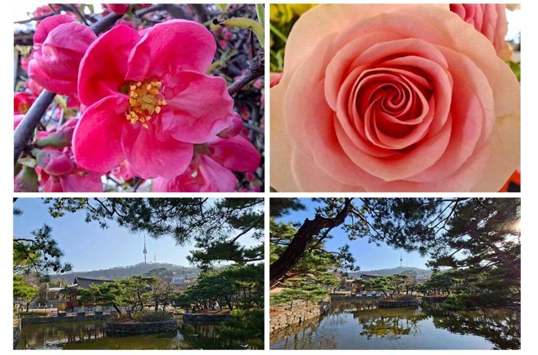 サムスン、最新スマホ「Galaxy A57 5G」をドコモから発売 - 画像5