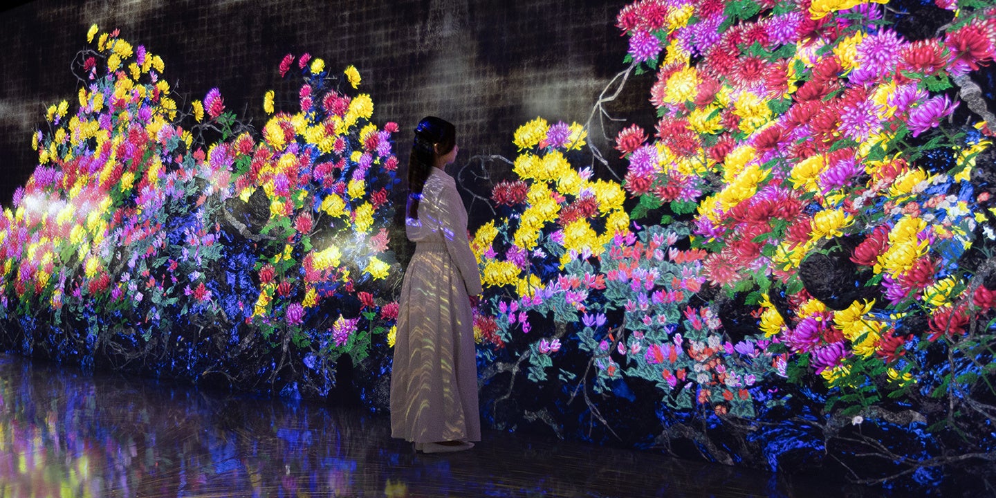 Galaxy Harajukuで「チームラボ」展開催へ - 画像1