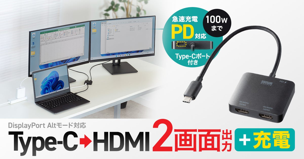 サンワサプライ、PD充電対応＆2画面出力のUSB Type-C変換アダプタを発売 - 画像2