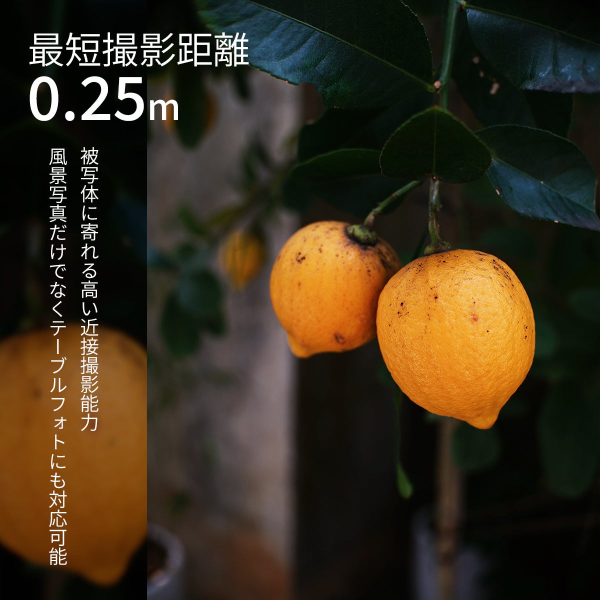 APS-C用レンズ「SG-image 25mm F1.8」が新発売 - 画像4