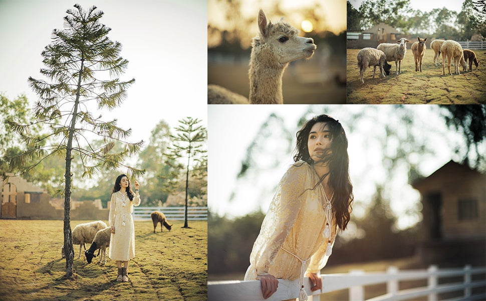 SG-image、中判対応75mm F1.2レンズを発売 - 画像11