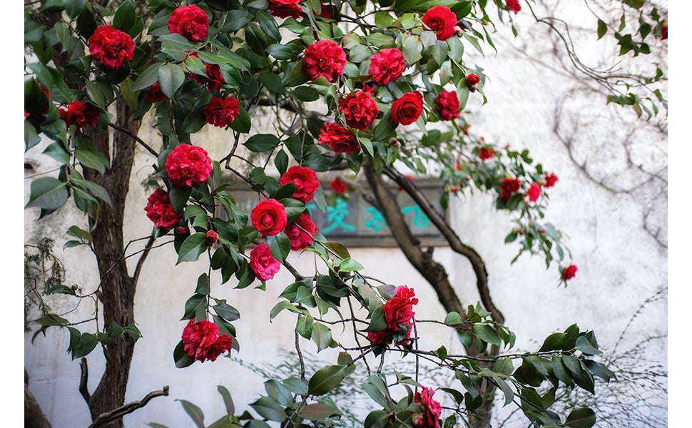 E&Iクリエイション、APS-C用単焦点レンズ「SG-image AF 25mm F1.8」にニコンZ用を追加 - 画像13