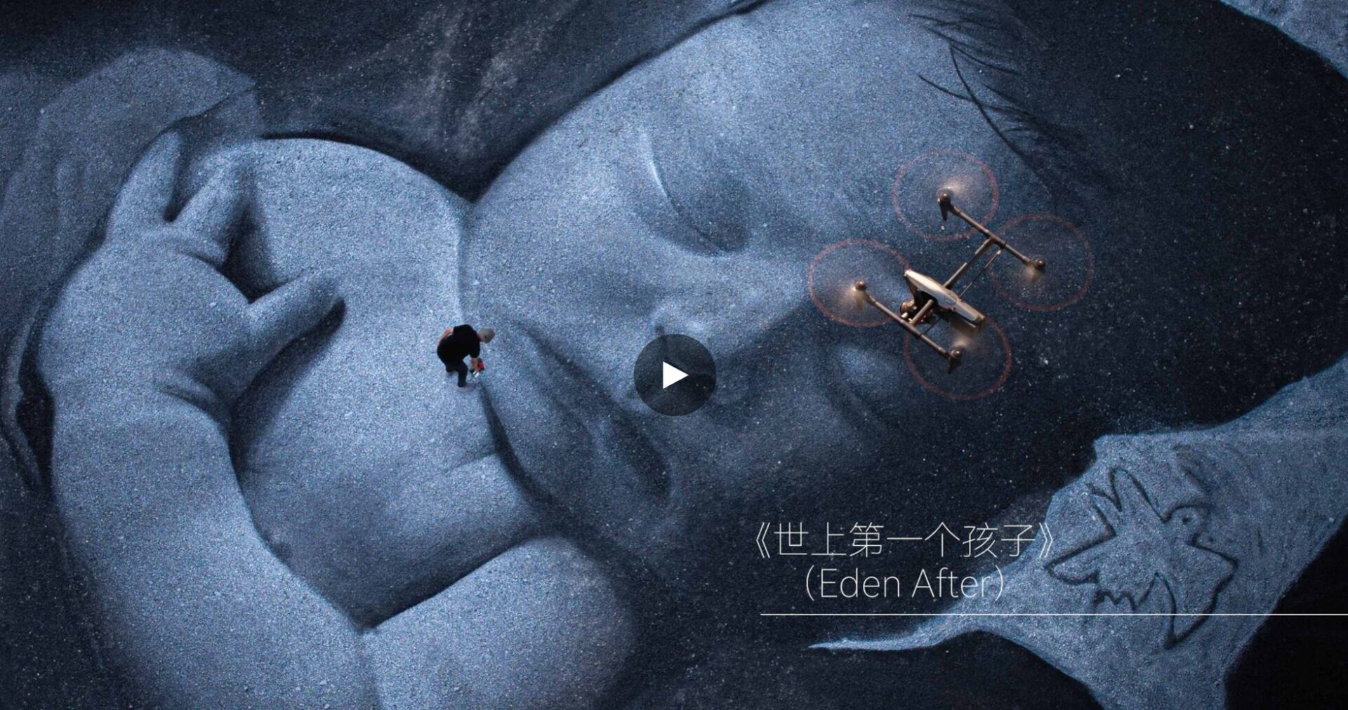 DJI、第11回SkyPixelコンテストの結果を発表 - 画像9