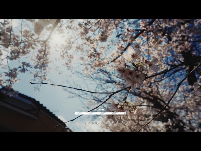 SUNEAST、最大3200MB/sのCFexpress 4.0カードを発売 - 画像2