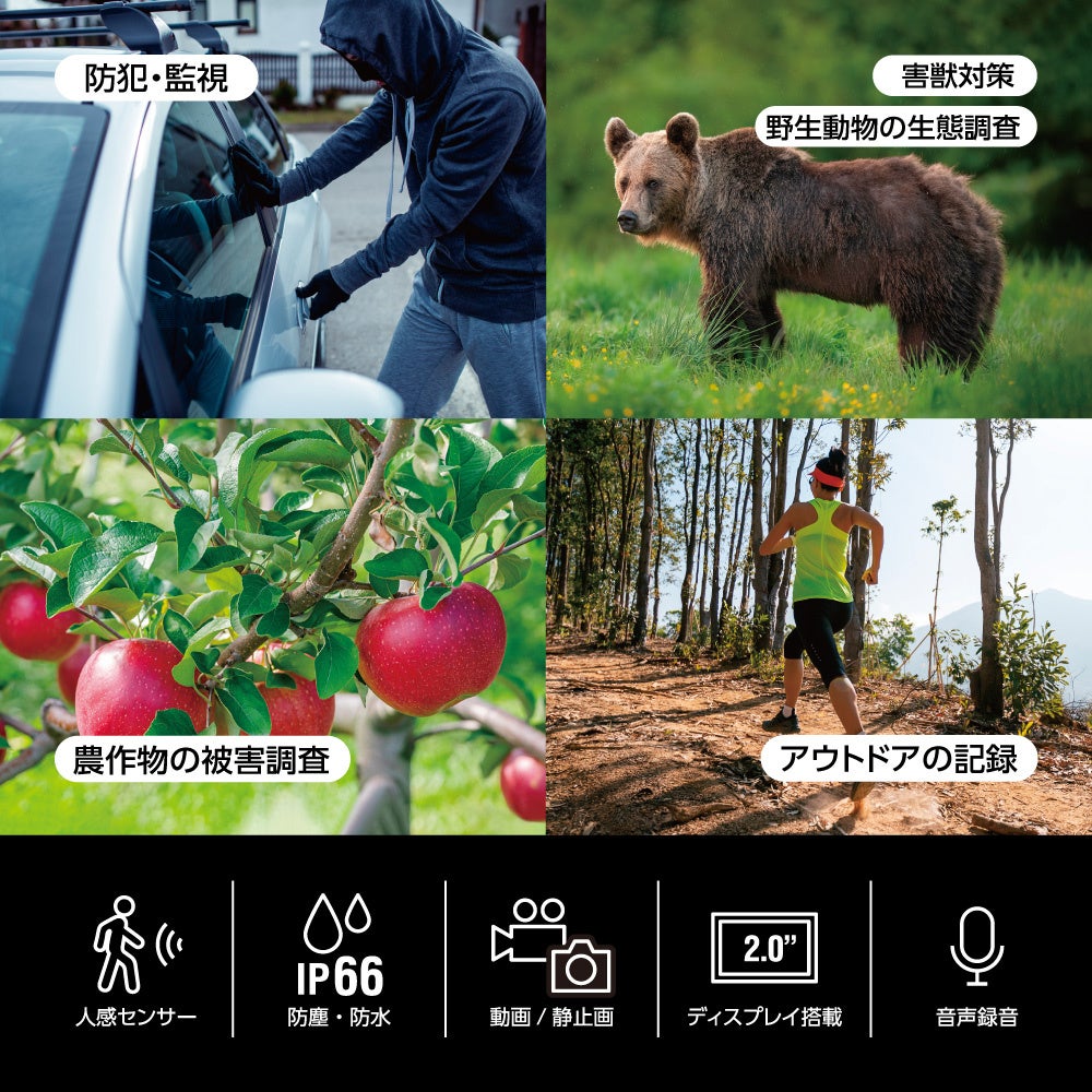 多摩電子工業、乾電池式トレイルカメラTSK156Hを新発売 - 画像3