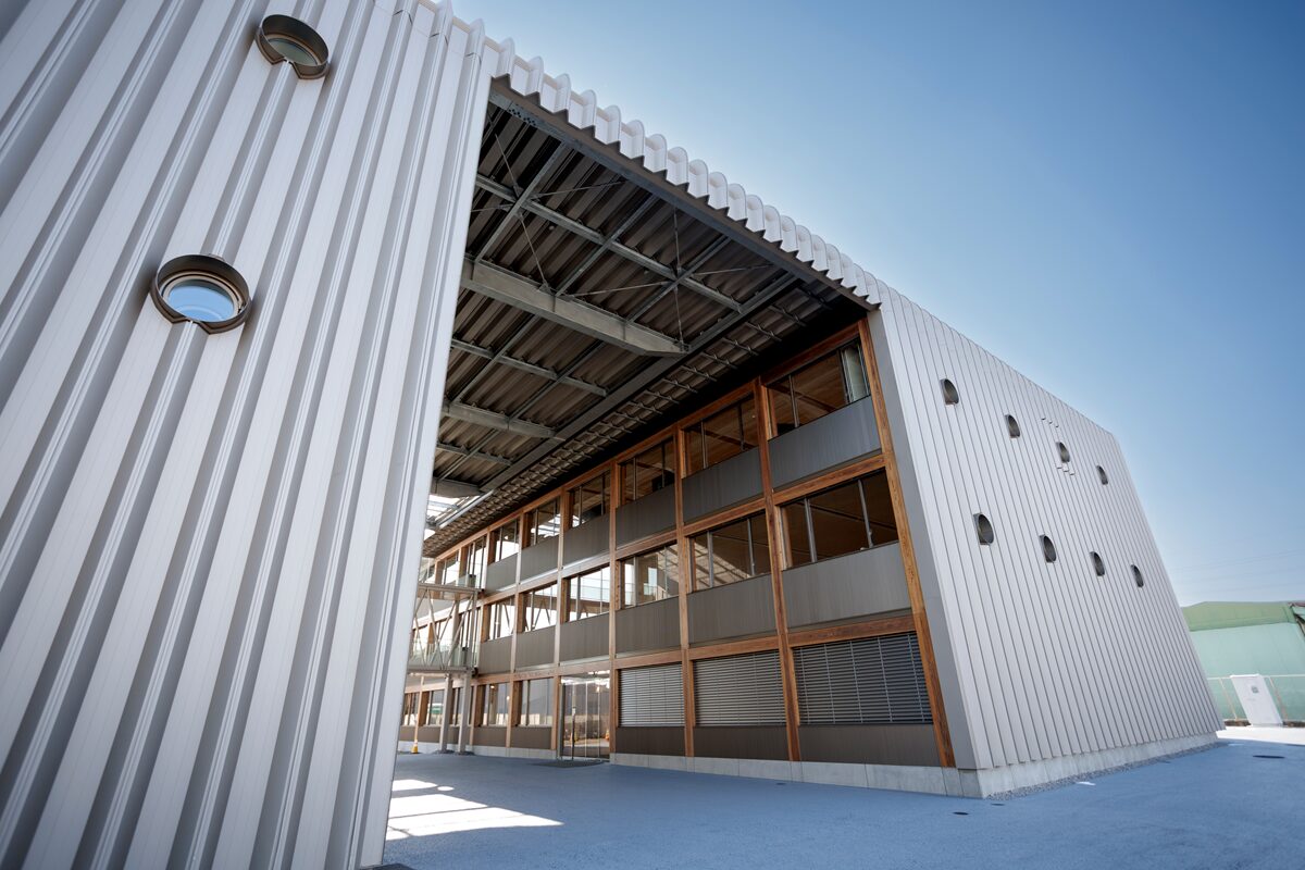 タマディックが5年連続「ブライト500」認定 健康経営優良法人2026 - 画像5