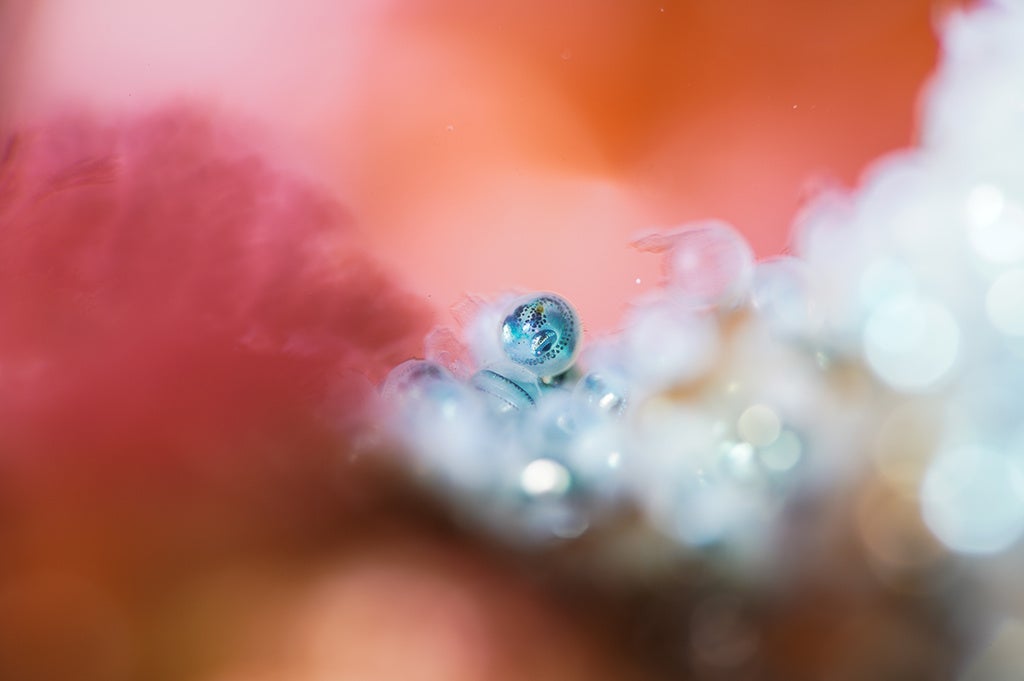 第4回「TAMRON フォトコンテスト 2025」審査結果発表 - 画像3